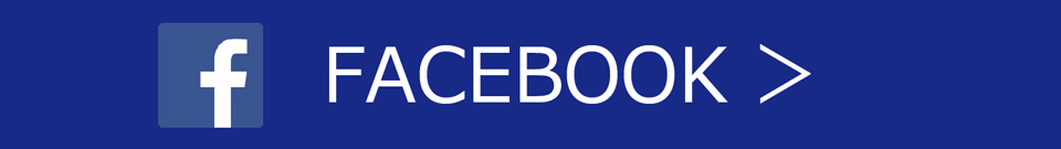 フェイスブック