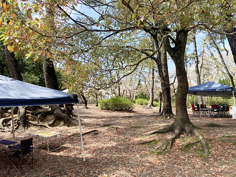 服部緑地ちかくの森