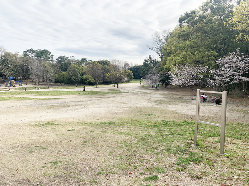 服部緑地たにあいの原っぱ