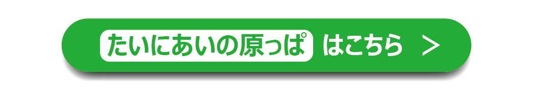服部緑地たにあいの原っぱ