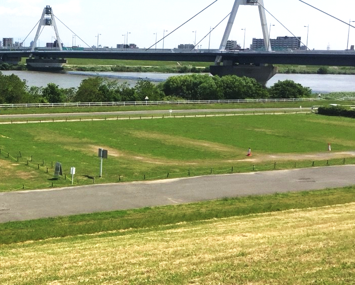 淀川河川公園豊里地区BBQ