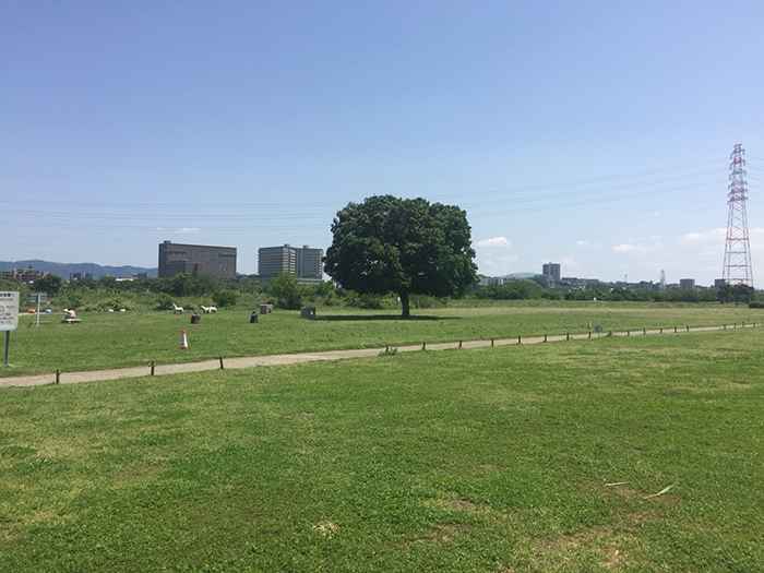 淀川河川公園大塚地区バーベキュー場風景