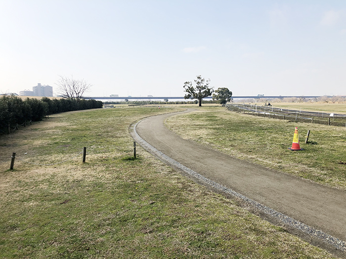 淀川河川公園太間地区バーベキュー場風景