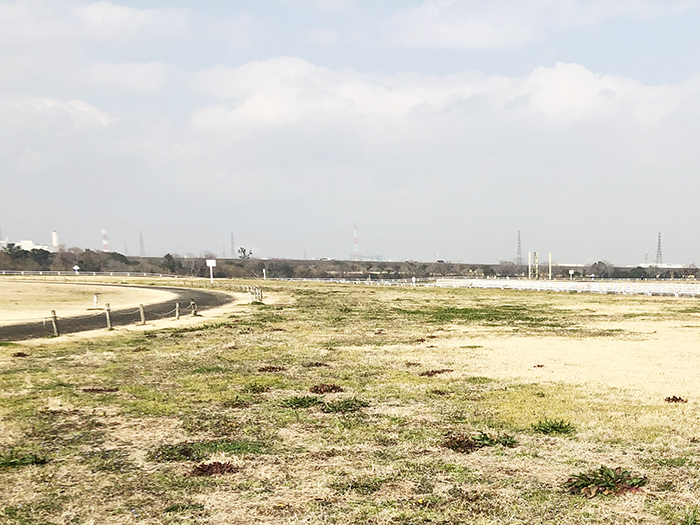 淀川河川公園太間地区バーベキュー場風景